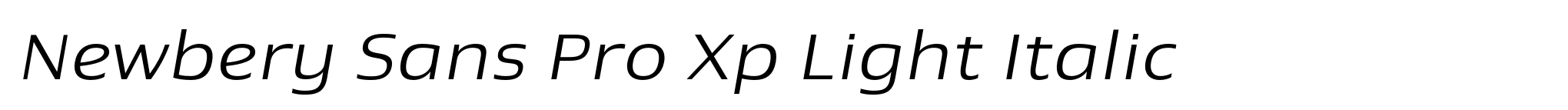 Newbery Sans Pro Xp Light Italic image